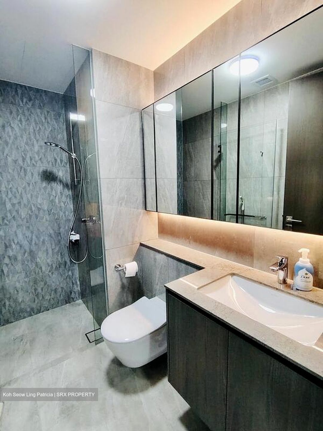 Piccadilly Grand (D8), Apartment #566302421